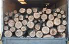 Four residents of Kramatorsk illegally sawed trees in Druzhkovka