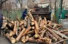 Жителям Святогорска развозят дрова: Как получить