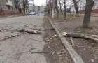 На улицах Константиновки падают ветви