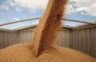 В Хмельницкой области тонны зерна задушили мужчину