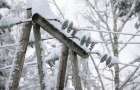 128 settlements were left without electricity due to bad weather in Ukraine
