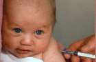Дефицит вакцин БЦЖ, АКДС и от полиомиелита