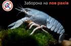 Ban on catching crayfish announced in the Donetsk region 