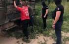 На Закарпатье на сбыте древесины попался чиновник лесхоза