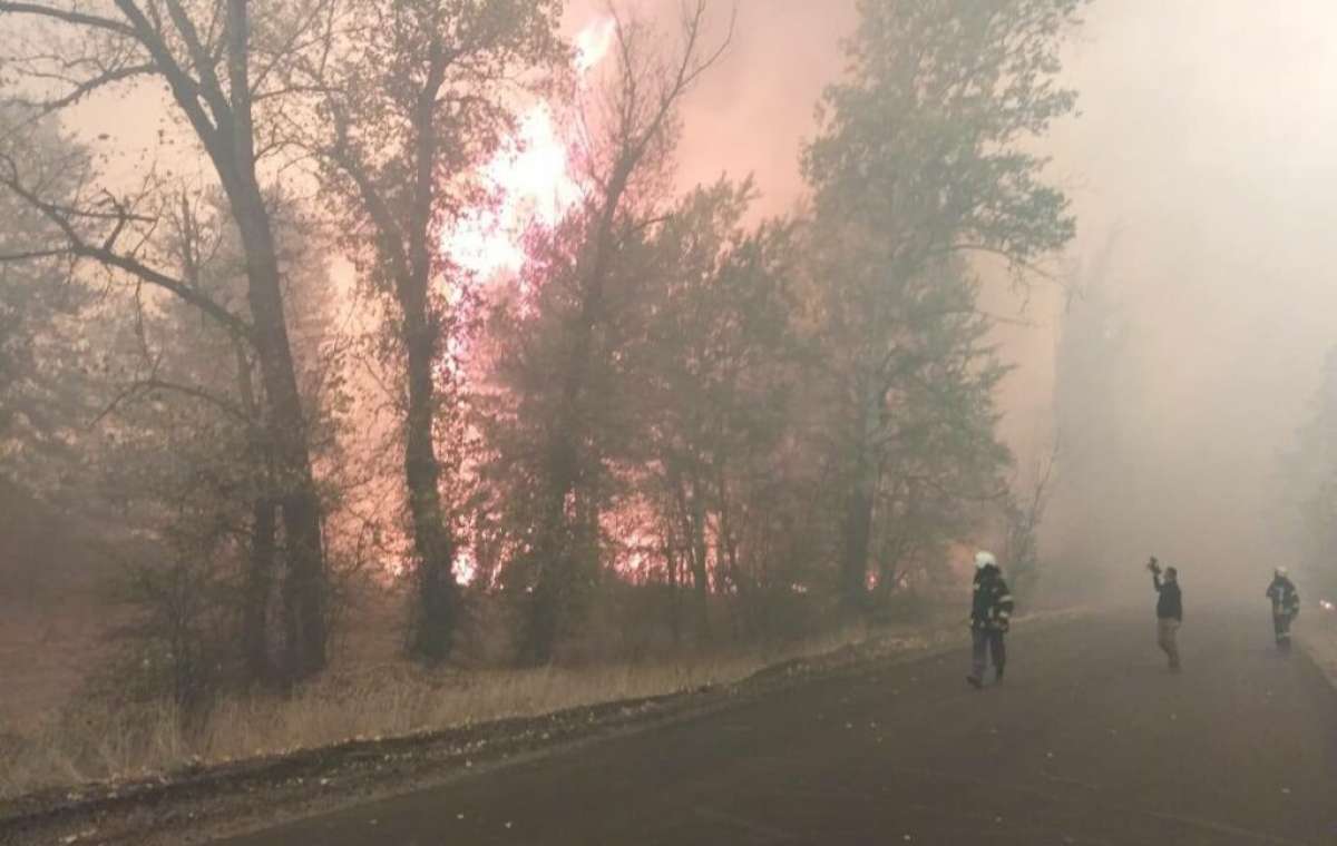 На Луганщине опять масштабные пожары: людей эвакуируют