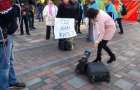 Больше половины переселенцев Донбасса готовы вернуться домой