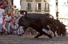 В Испании во время забегов быков пострадали 28 человек