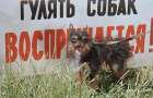 В Краматорске появились специализированные урны для отходов жизнедеятельности собак