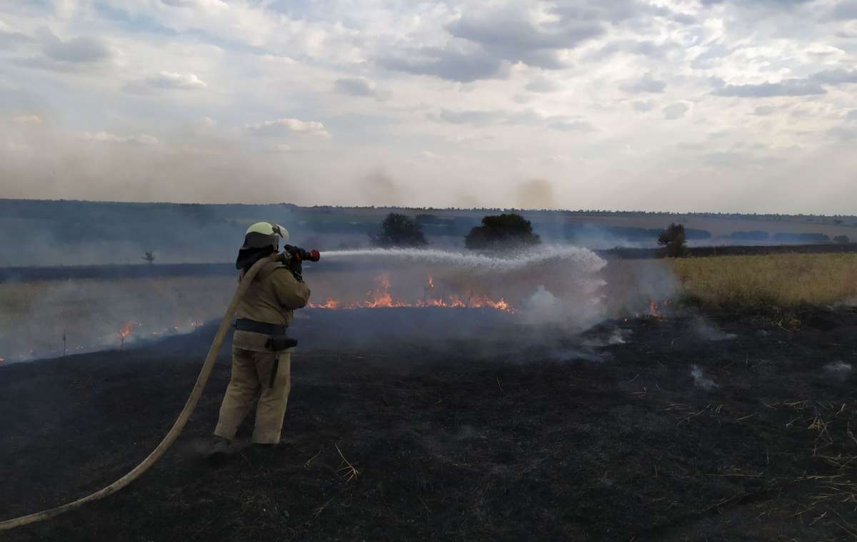 Траву в Луганской области поджигали участники НВФ — МВД