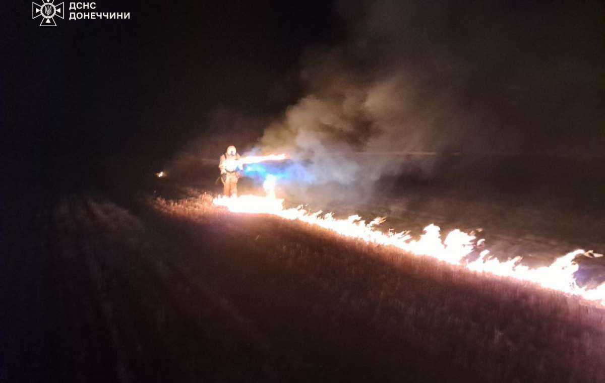 30 выездов: Спасатели тушили пожары в Яблоновке, Покровске и других населенных пунктах 
