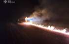 30 выездов: Спасатели тушили пожары в Яблоновке, Покровске и других населенных пунктах 