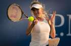 Свитолина завершила свои выступления на открытом чемпионате США по теннису на стадии 1/8 финала
