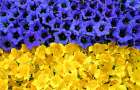 В Покровске высадят огромный флаг Украины из цветов