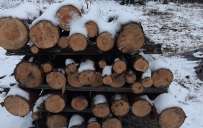 В Константиновке вновь принимают заявления на получение бесплатных дров