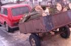Славянские полицейские задержали «черных лесорубов»