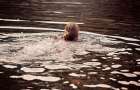 Покровск: в одном из водоемов на выходных утонула женщина