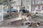 Последствия непогоды в Дружковке: поваленное дерево и оборванные линии электропередач