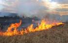 Emergency level of fire danger was announced in Ukraine 