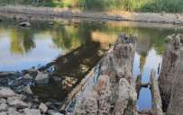 Воду из реки Казенный Торец нельзя использовать даже для технических и бытовых нужд