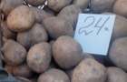 В Константиновке продолжает дорожать только картофель: В чем причины