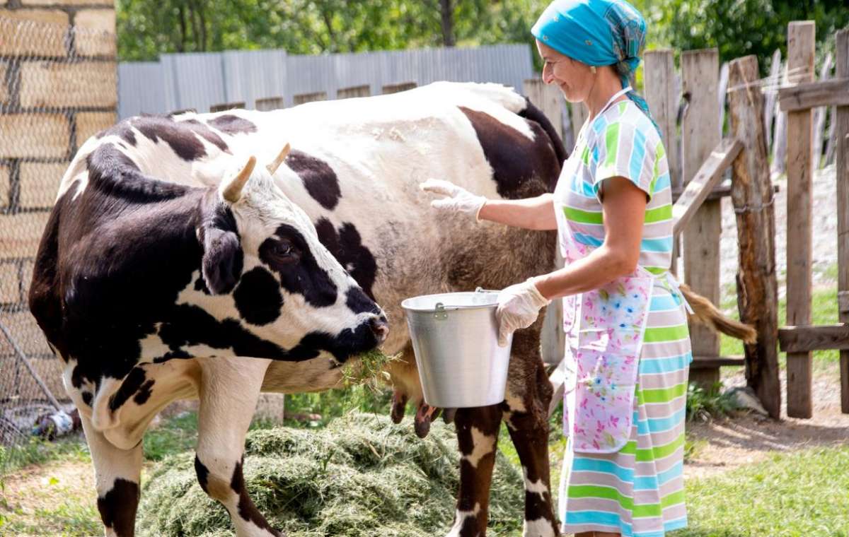 Кто из сельских жителей теперь может выйти на пенсию на несколько лет раньше
