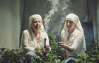 Как в Калифорнии монахини выращивают на продажу марихуану