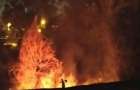 Спасатели потушили пожар в парке Гурова в Мариуполе