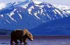 Самые необычные и таинственные открытия на Аляске