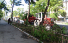 В центре Краматорска ликвидируют опасные деревья