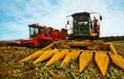 Экспорт: Украинские аграрии отправят в ЕС 400 тысяч тонн кукурузы