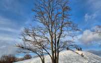 Донеччину накриє штормовий вітер та дощі, а потім прийдуть морози до -28°C: прогноз Наталки Діденко