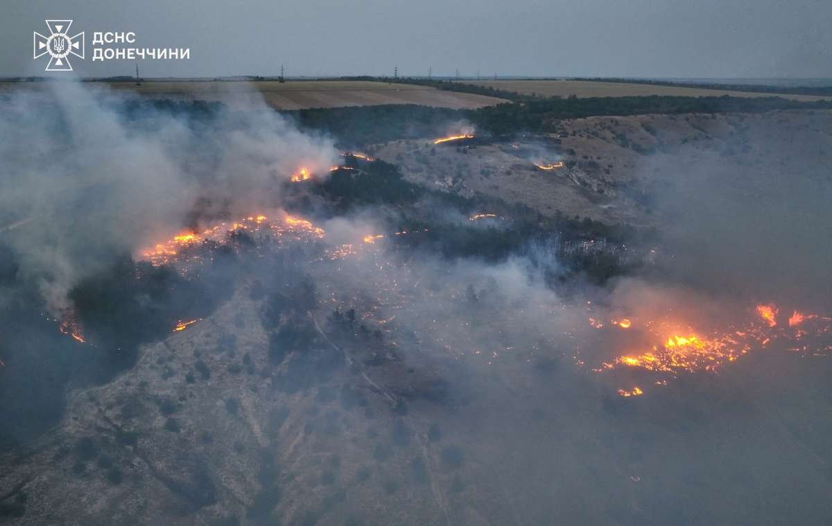 Під Краматорськом загасили масштабну лісову пожежу, яка виникла після удару авіабомби