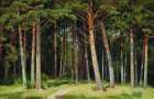 Посещение леса в Донецкой области теперь под запретом
