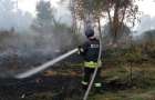 Один очаг возгорания осталось ликвидировать в Луганской области