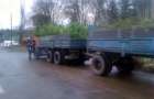 Предновогодний криминал: В Славянске задержали грузовик с нелегальными елками