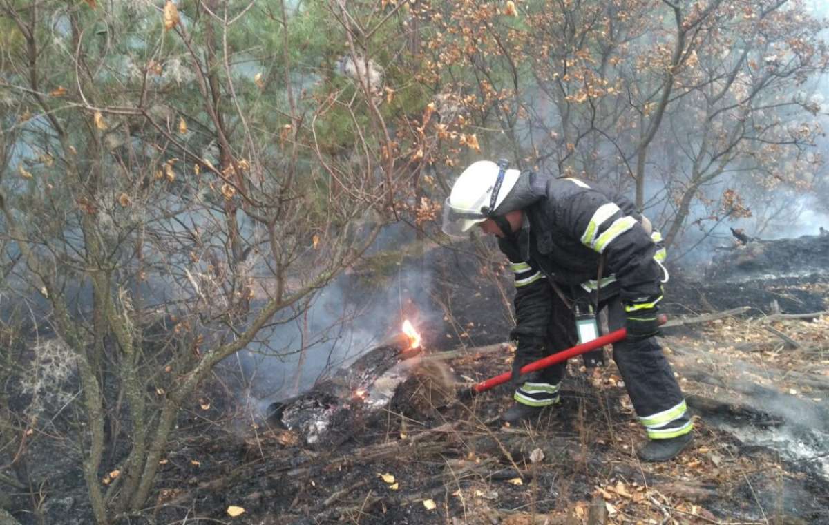 В Донецкой области горело 2 гектара леса