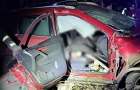 Смертельна ДТП у Краматорську: водій врізався у дерево