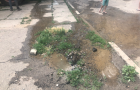 Воды нет – трубы рвутся: аварийные водопроводы в Константиновке