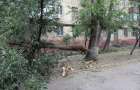 В Мариуполе шторм валит деревья: аварийно-спасательная служба перешла на круглосуточное дежурство