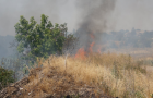 Едва не сгорели поля и дома: Пожар вблизи Белокузьминовки