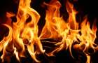 Трагедия в Запорожье: женщина сгорела заживо 