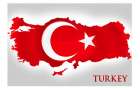 Турция изменила форму правления