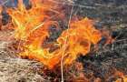 В Мариуполе пламя охватило более 13,5 га сухой травы в зеленых зонах