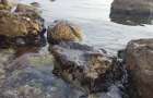  В Гурзуфе пляжи загрязнены мазутом 