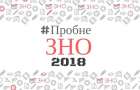 Справились ли школьники с ВНО по основному предмету?