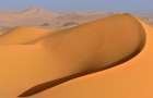 Сахара увеличилась на 10% за сто лет