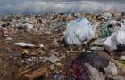 Министр экологии рассказал о состоянии свалок в Украине