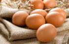 По прогнозу эксперта, куриные яйца в Украине могут подорожать в два раза: Названы причины 