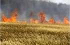 Пожары грозят уничтожить хлеб нового урожая в Константиновском районе