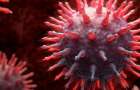 Кишечные бактерии помогут победить грипп 